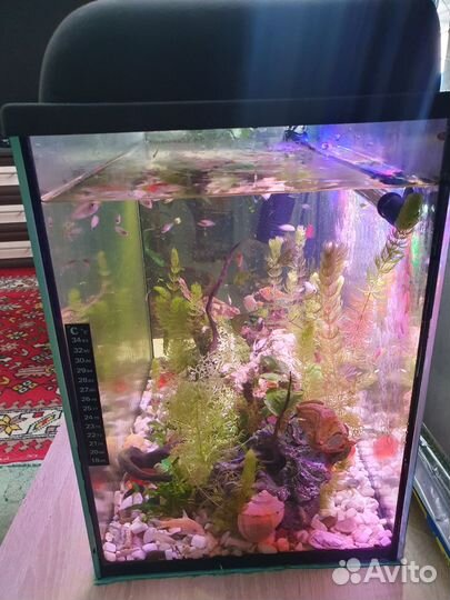 Аквариумы 100,60,50 литровые