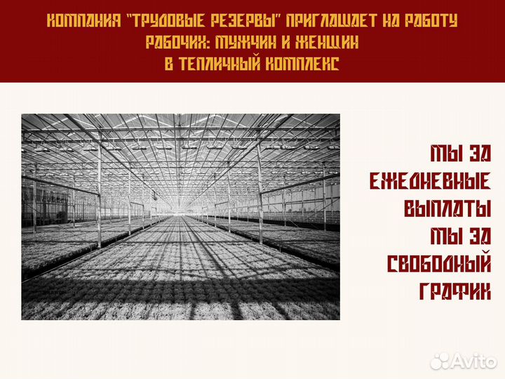 Разнорабочий в Тепличный Комплекс Подработка