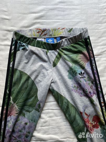 Adidas леггинсы тайтсы