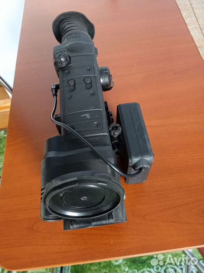 Пульсар продам или поменяю на лошадь