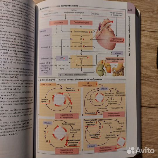 Клиническая патофизиология