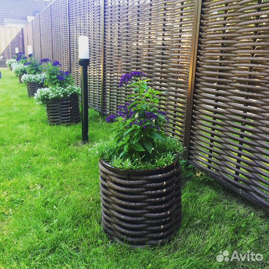 Лоза для плетения