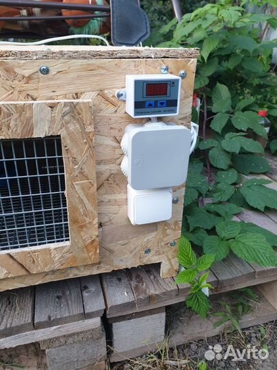 Брудер (Люкс ) для цыплят (перепелов )