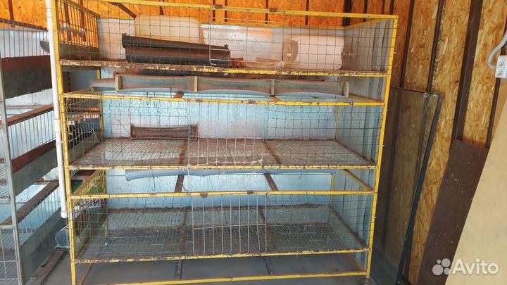 Клетка брудер для бройлеров и курицы