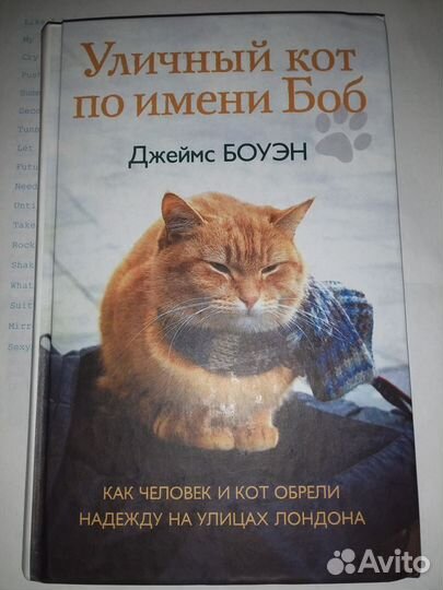 Новые книги про кошек