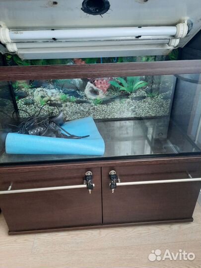 Аквариум с тумбой