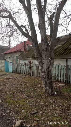 Дом 50 м² на участке 6,1 сот.