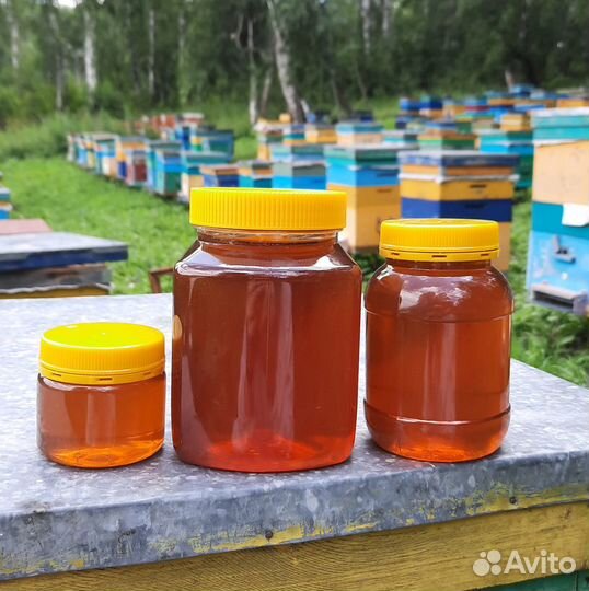 Алтайский мёд разнотравья (сбор 2023)