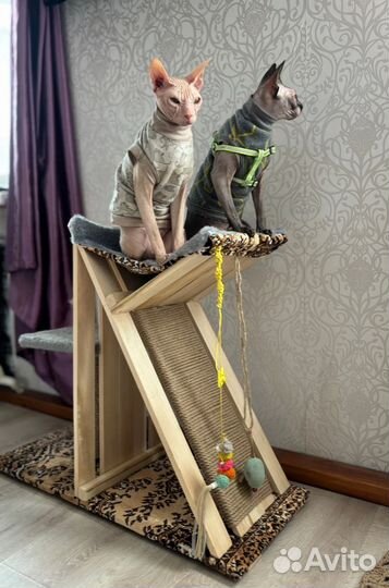 Домик для кошки с когтеточкой новый на заказ