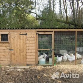 Купить курятник на дачу. Цены, фото, описание на готовые курятники!