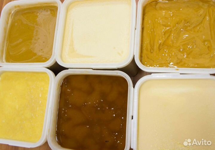 2024 Мёд натуральный с Алтая опт