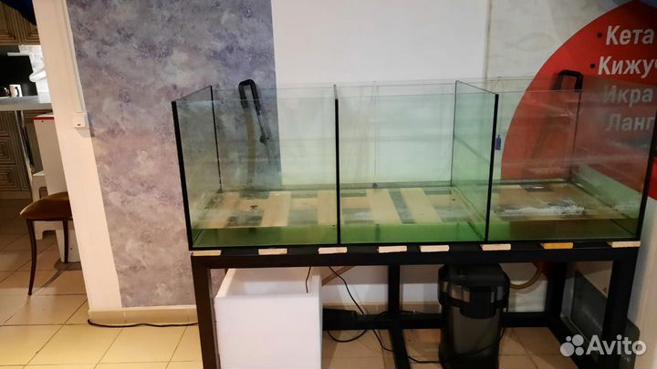 Продаю аквариум для раков,3 секции.Весы торговые