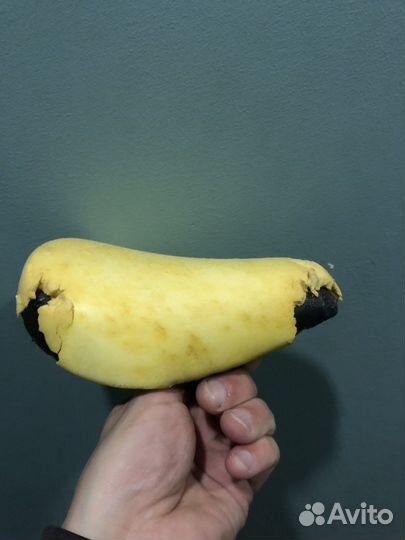 Детский велосипед GT grunge 12