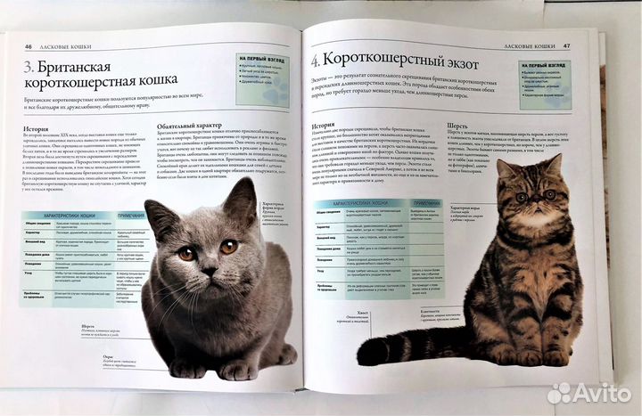 Серия «Домашние питомцы. Зоологи рекомендуют»