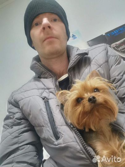 Семейный помощник по хозяйству