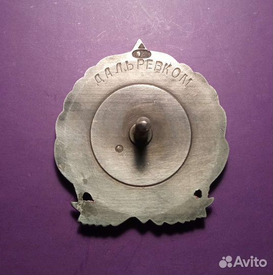 За Экспедицию на остров Врангеля