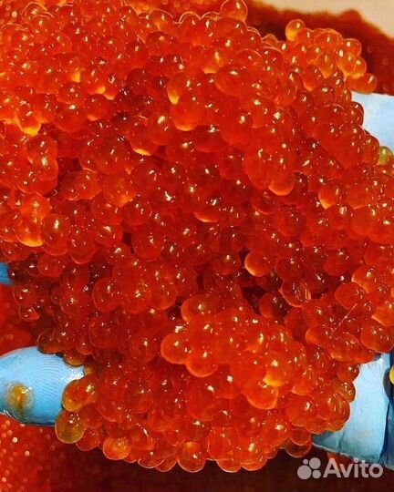 Красная икра Кеты опт 1000 г. натуральная