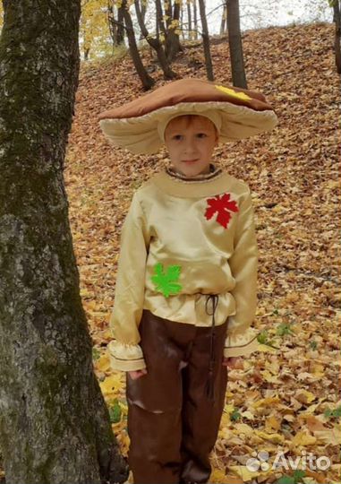 Костюм гриба