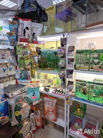 Аквариумные рыбки