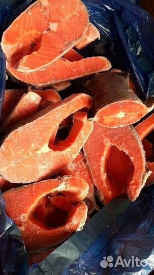 Морепродукты, кальмары, рыба в ассортименте