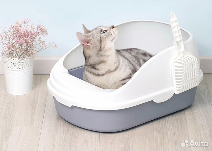 Лоток для собак и кошек. Туалет