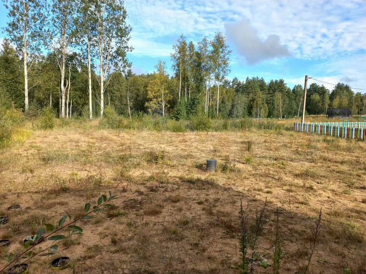 Участок 19,9 сот. (ИЖС)