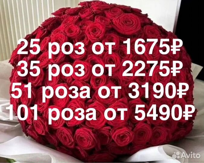 Розы Цветы Доставка 25 51 101 151 201 301 501 опт