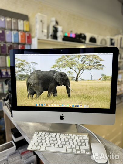 Apple iMac 21.5 2015 8Gb/1Tb. Идеальное состояние