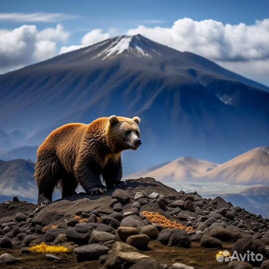 Туры Камчатка весна-лето 2024