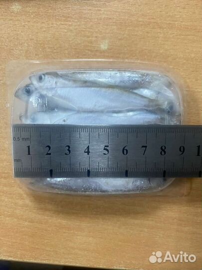 Тюлька крупная