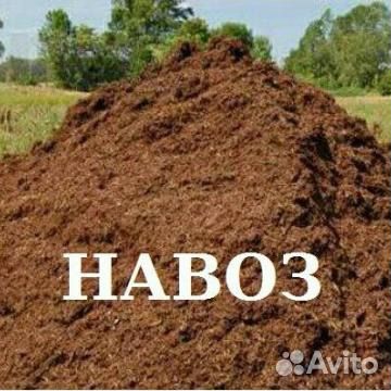 Навоз перегной, доставка