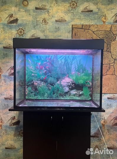 Аквариум 150 литров