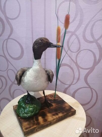 Чучело утки