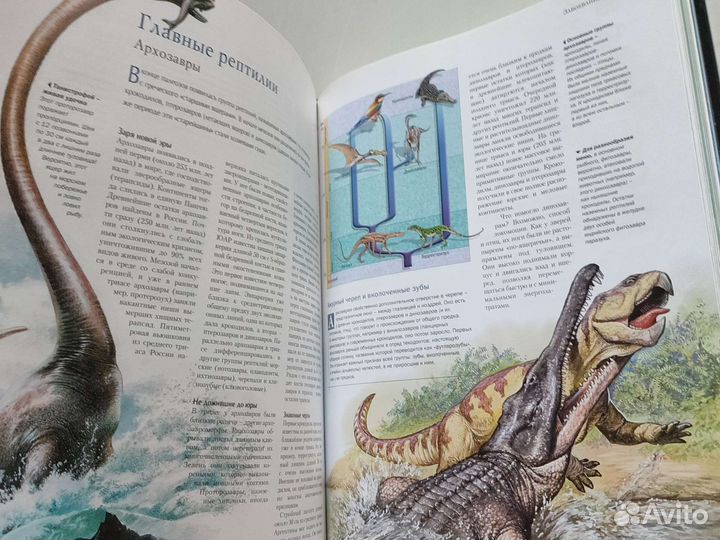 Иллюстрированный атлас эволюции