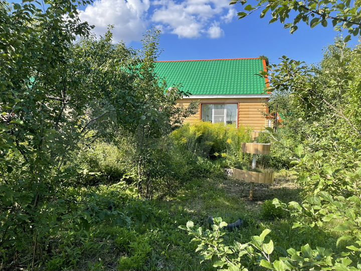 Дом 65 м² на участке 15 сот.