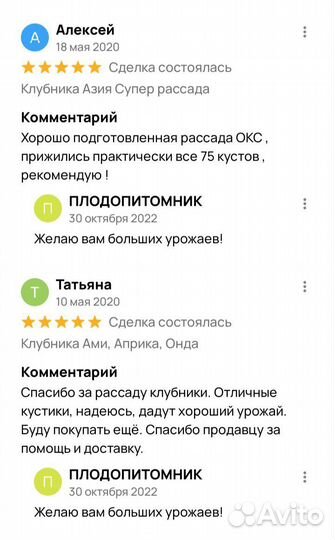 Рассада клубники лучшие сорта и новинки