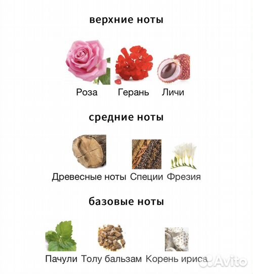 Beautiful & Wild Haute Fragrance Company HFC