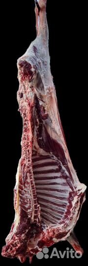 Мясо баранина свежая