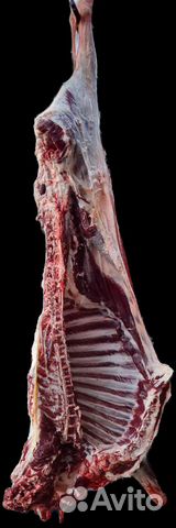 Мясо баранина свежая