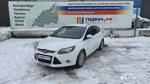 Брызговик задний правый Ford Focus 3 1824105