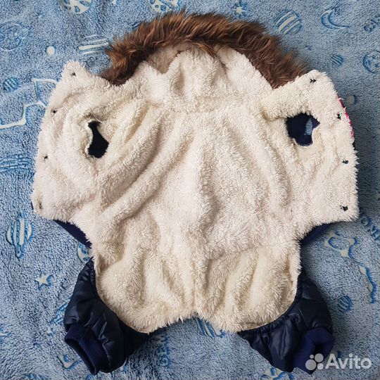 Одежда для собак мелких пород