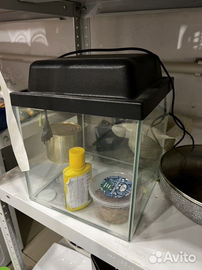 Аквариум 10 литров