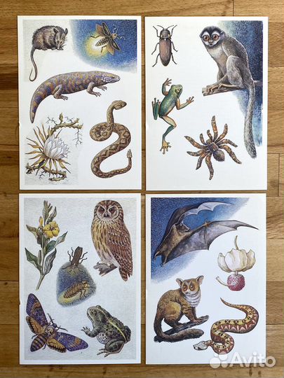 Винтажные иллюстр. обитателей темноты 16 шт. 1987