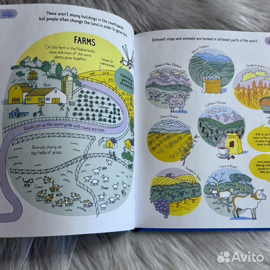 All you need to know about our wolrd by age 7