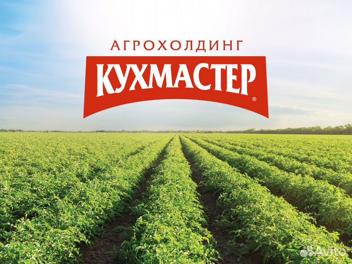 Оператор упаковочного оборудования (Стройкерамика)