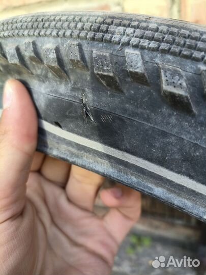 Покрышки schwalbe hurricane 29*2.25