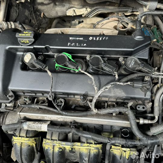 Двигатель Ford focus 2 2.0 145 л Aoda