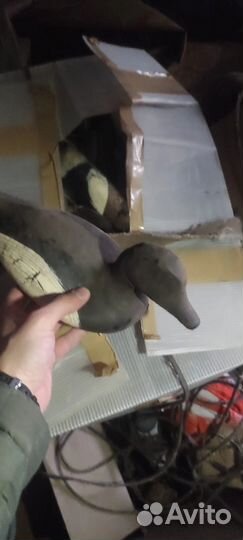 Утки приманка