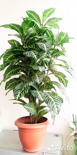 Растение искусственное 100х35х35см