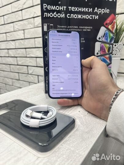 iPhone 12 Pro Max / 256 / sim